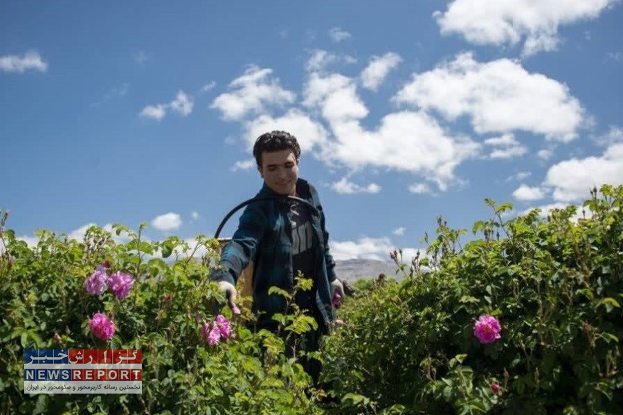 تقویت زیرساخت‌های گردشگری در شهرستان‌های فارس در دستور کار است