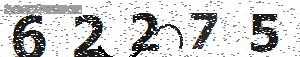 تصویر امنیتی