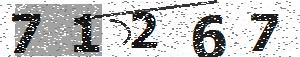 تصویر امنیتی